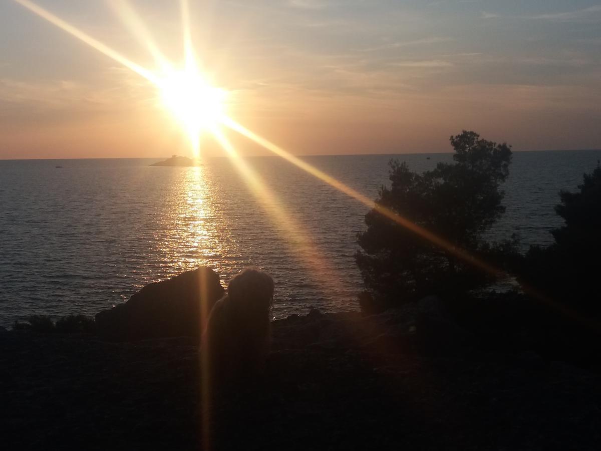 Apartments Ella Rovinj Kültér fotó